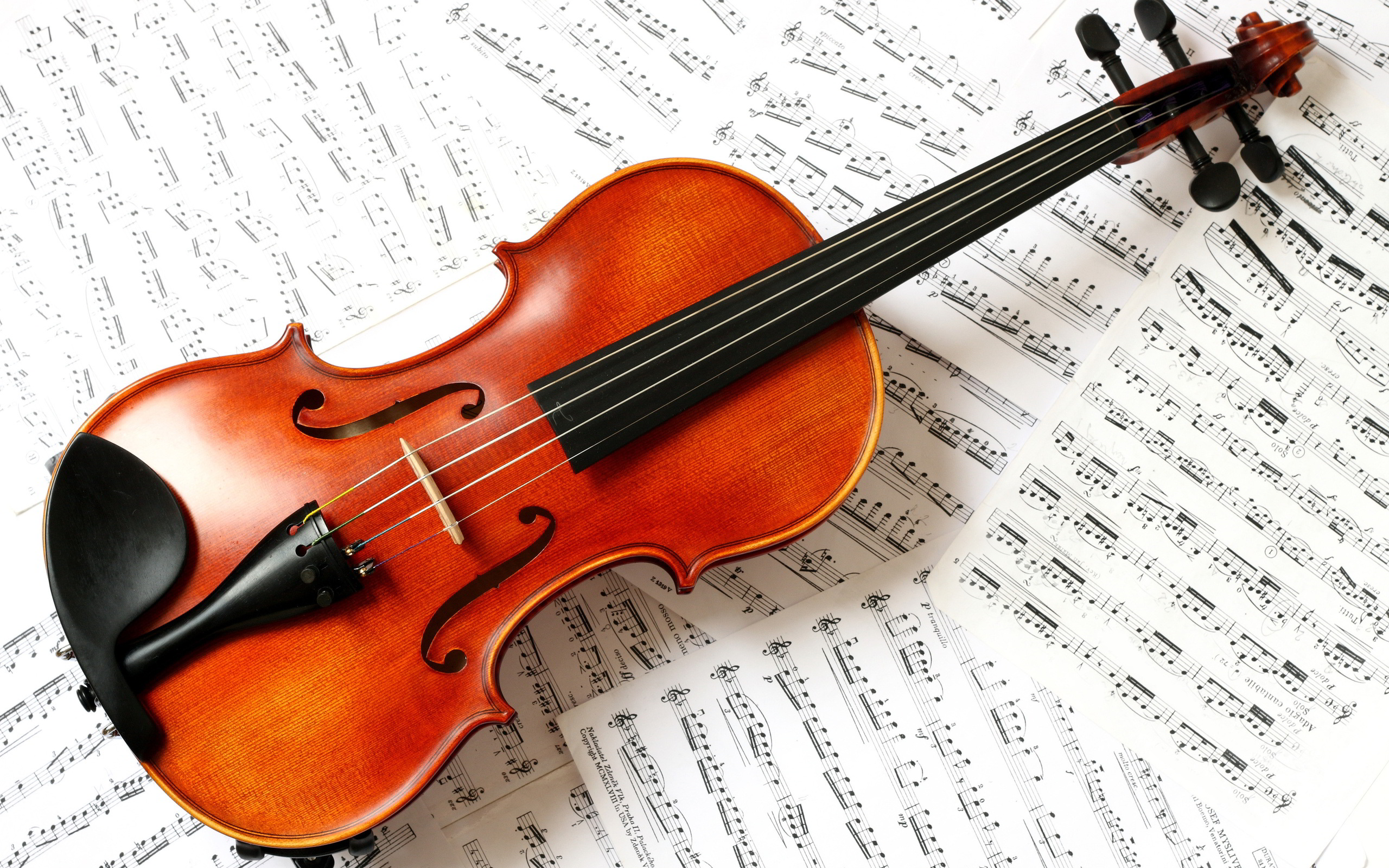 Picture of  violin